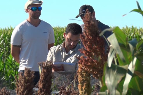 1 Estacion del GIRO DI SORGO de Maizar en la EEA INTA Paraná