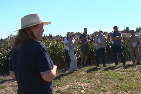 1 Estacion del GIRO DI SORGO de Maizar en la EEA INTA Paraná