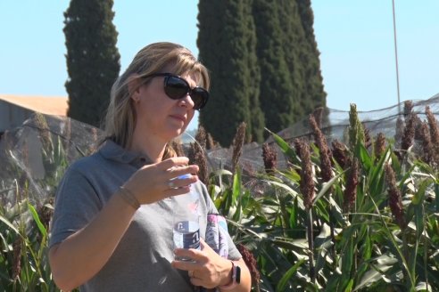 1 Estacion del GIRO DI SORGO de Maizar en la EEA INTA Paraná