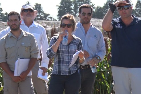 1 Estacion del GIRO DI SORGO de Maizar en la EEA INTA Paraná