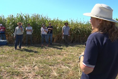 1 Estacion del GIRO DI SORGO de Maizar en la EEA INTA Paraná