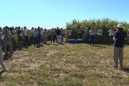 1 Estacion del GIRO DI SORGO de Maizar en la EEA INTA Paraná