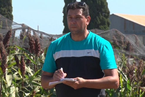 1 Estacion del GIRO DI SORGO de Maizar en la EEA INTA Paraná