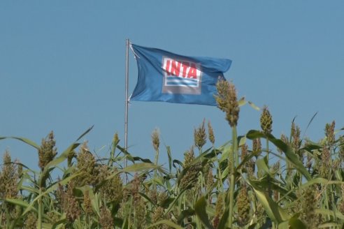 1 Estacion del GIRO DI SORGO de Maizar en la EEA INTA Paraná