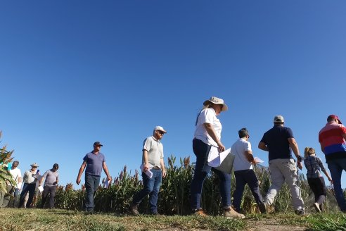 1 Estacion del GIRO DI SORGO de Maizar en la EEA INTA Paraná