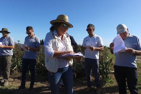 1 Estacion del GIRO DI SORGO de Maizar en la EEA INTA Paraná