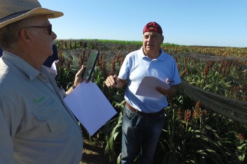 1 Estacion del GIRO DI SORGO de Maizar en la EEA INTA Paraná