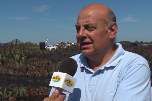 1 Estacion del GIRO DI SORGO de Maizar en la EEA INTA Paraná