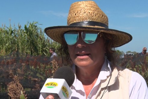 1 Estacion del GIRO DI SORGO de Maizar en la EEA INTA Paraná