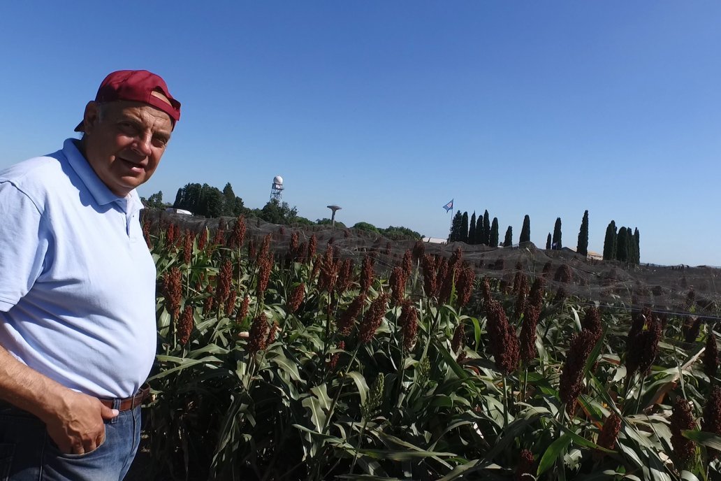 La reducción del área ocupada supera el 55%. Foto ilustrativa.