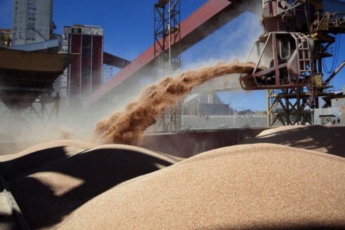 Universidad Austral: los productores vuelven a perder confianza