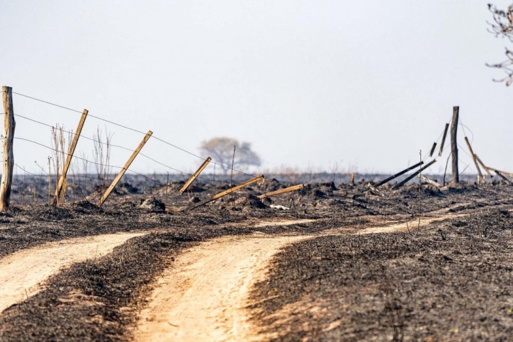 En Corrientes urge reponer los kilómetros de alambrados y postes incendiados.