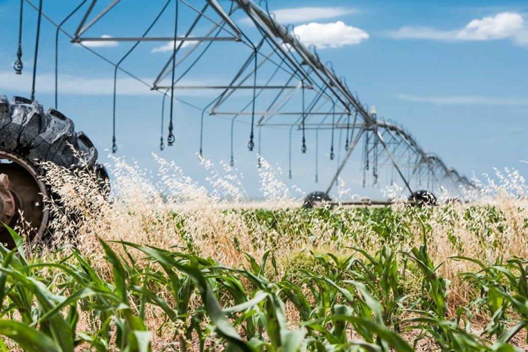 Los países que agroexportadores consumen más agua que el promedio global.