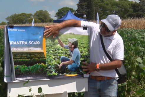 En El Solar se vio el potencial de la soja y el maíz en un año muy crítico