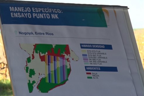 Punto NK 2022 en Entre Ríos - Establecimiento El Solar - Victoria, Entre Ríos