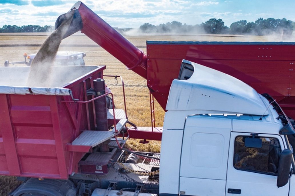 Para cerrar negocios en Europa deben eliminar restricciones a granos modificados