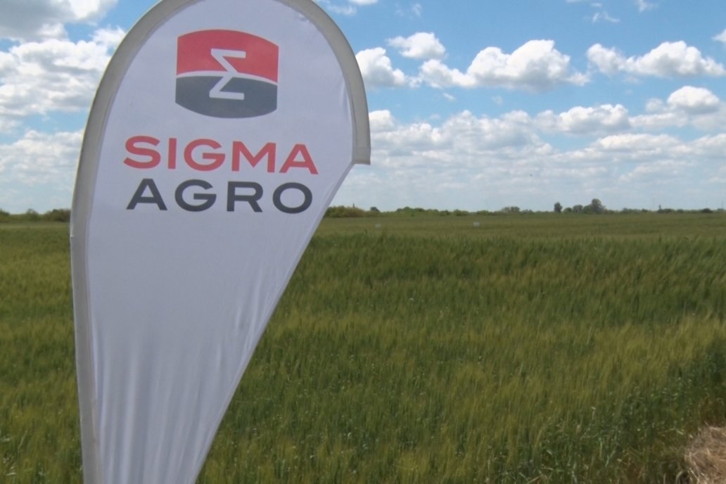 SIGMA AGRO festeja sus 10 años con el lanzamiento de su Terbutilazina