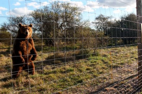 Asisten con más de 32 millones de pesos al santuario animal de Colón