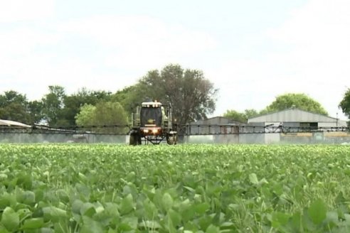 Fertilizantes por las nubes, subieron 10% durante lo que va de marzo