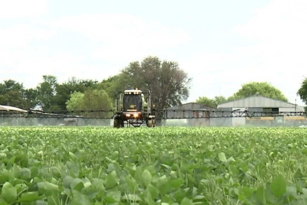 El nuevo ciclo agrícola arranca con fertilizantes en precios históricos