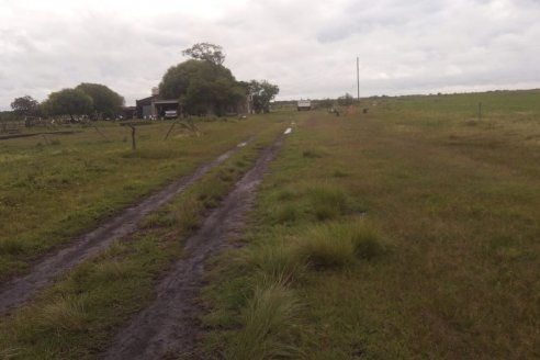 Las lluvias siguen y pronostican heladas a partir de este martes