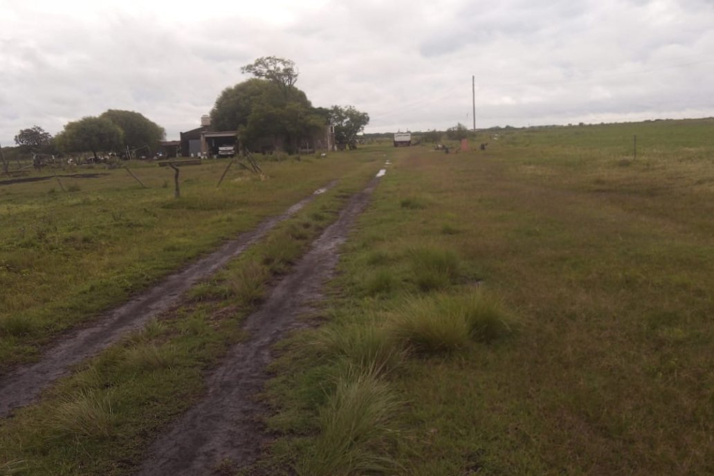Entre el miércoles y jueves cayeron 17 milímetros en el campo de Quique Ginder.