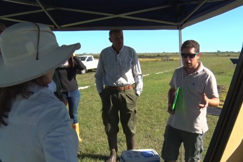 Ensayos experimentales de productividad y eficiencia en el cultivo de arroz de Stoller en INTA C.del Uruguay