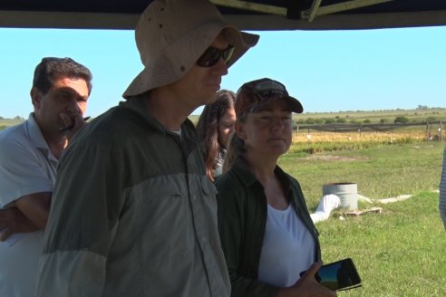 Ensayos experimentales de productividad y eficiencia en el cultivo de arroz de Stoller en INTA C.del Uruguay