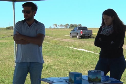 Ensayos experimentales de productividad y eficiencia en el cultivo de arroz de Stoller en INTA C.del Uruguay