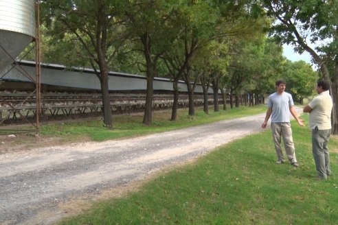 Visita a Granja Avicola Wagner - Maria Luisa, Entre Rìos