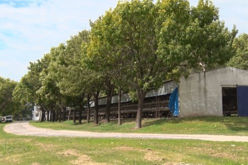 Visita a Granja Avicola Wagner - Maria Luisa, Entre Rìos