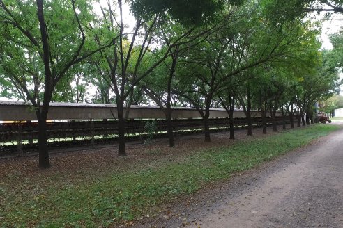 Visita a Granja Avicola Wagner - Maria Luisa, Entre Rìos