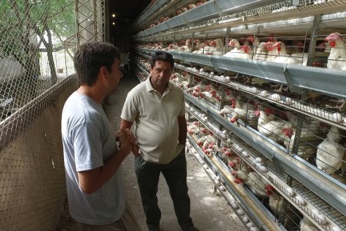 Visita a Granja Avicola Wagner - Maria Luisa, Entre Rìos