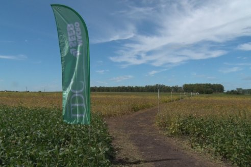 3ra. Jornada Demostrativa en Soja del Semillero de Cooperativa Lucienville - Basavilbaso