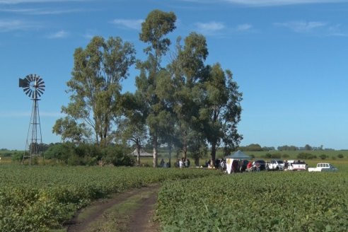 3ra. Jornada Demostrativa en Soja del Semillero de Cooperativa Lucienville - Basavilbaso