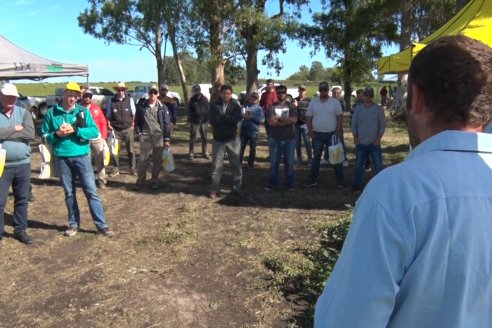 3ra. Jornada Demostrativa en Soja del Semillero de Cooperativa Lucienville - Basavilbaso