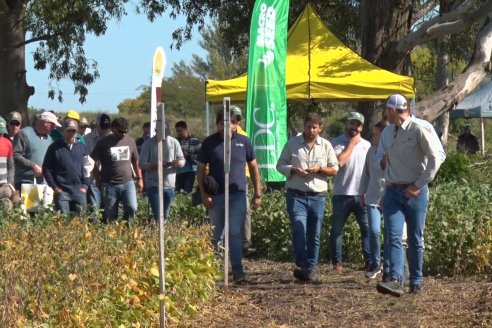 3ra. Jornada Demostrativa en Soja del Semillero de Cooperativa Lucienville - Basavilbaso