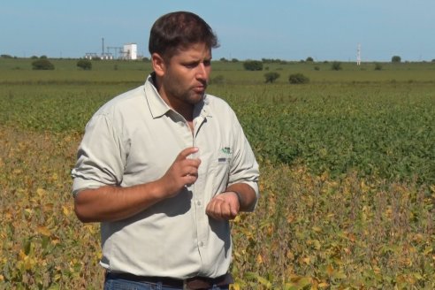 3ra. Jornada Demostrativa en Soja del Semillero de Cooperativa Lucienville - Basavilbaso