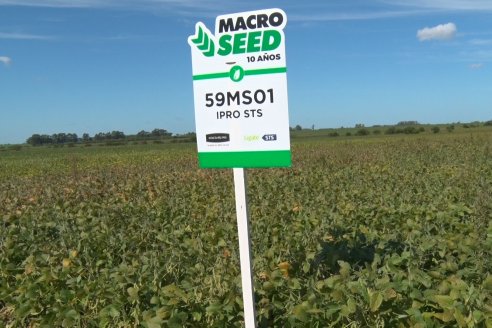 3ra. Jornada Demostrativa en Soja del Semillero de Cooperativa Lucienville - Basavilbaso