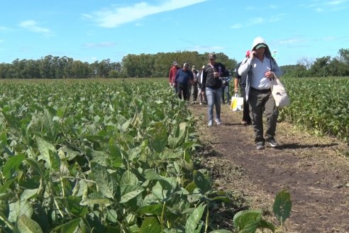 3ra. Jornada Demostrativa en Soja del Semillero de Cooperativa Lucienville - Basavilbaso