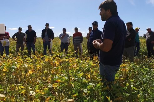 3ra. Jornada Demostrativa en Soja del Semillero de Cooperativa Lucienville - Basavilbaso