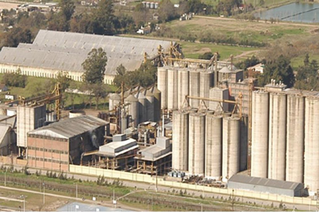 La industria molinera quedó marcada por cartelizar precios de alimentos.