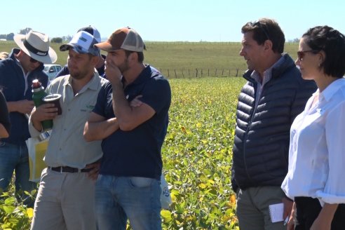 Ensayo Comparativo de Rendimiento de Soja - Coop.Urdinarrain Ltda.- Almada, Entre Rìos