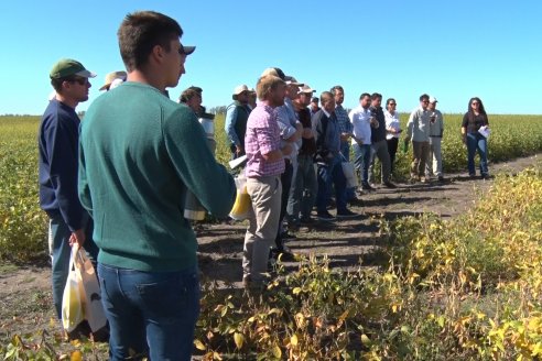 Ensayo Comparativo de Rendimiento de Soja - Coop.Urdinarrain Ltda.- Almada, Entre Rìos