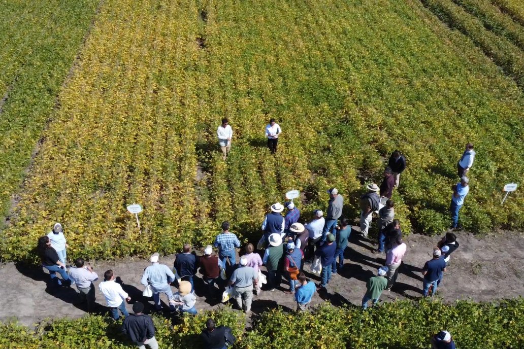 El fruto del trabajo de los agricultores alcanza nueos récors en las industrias.