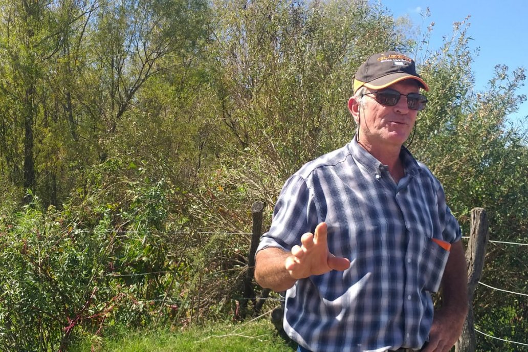 Marcelo Peter habló del desarrollo forestal en islas con salicáceas.