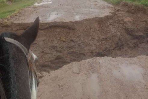 Jorge Gvozdenovich: "Para cuidar, los campos deben dejar de aportarle agua a los caminos"