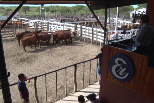 Feria María Dolores - Etchevehere Rural celebró sus 52 años con un remate aniversario