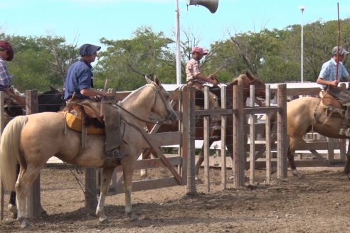 Feria María Dolores - Etchevehere Rural celebró sus 52 años con un remate aniversario