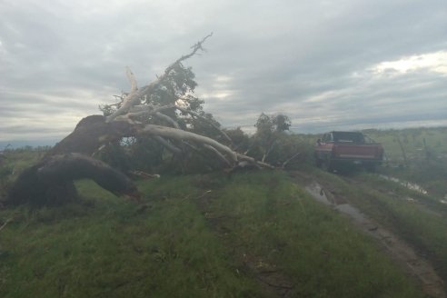 Una cola de tornado generó varios destrozos en Estancia San Esteban